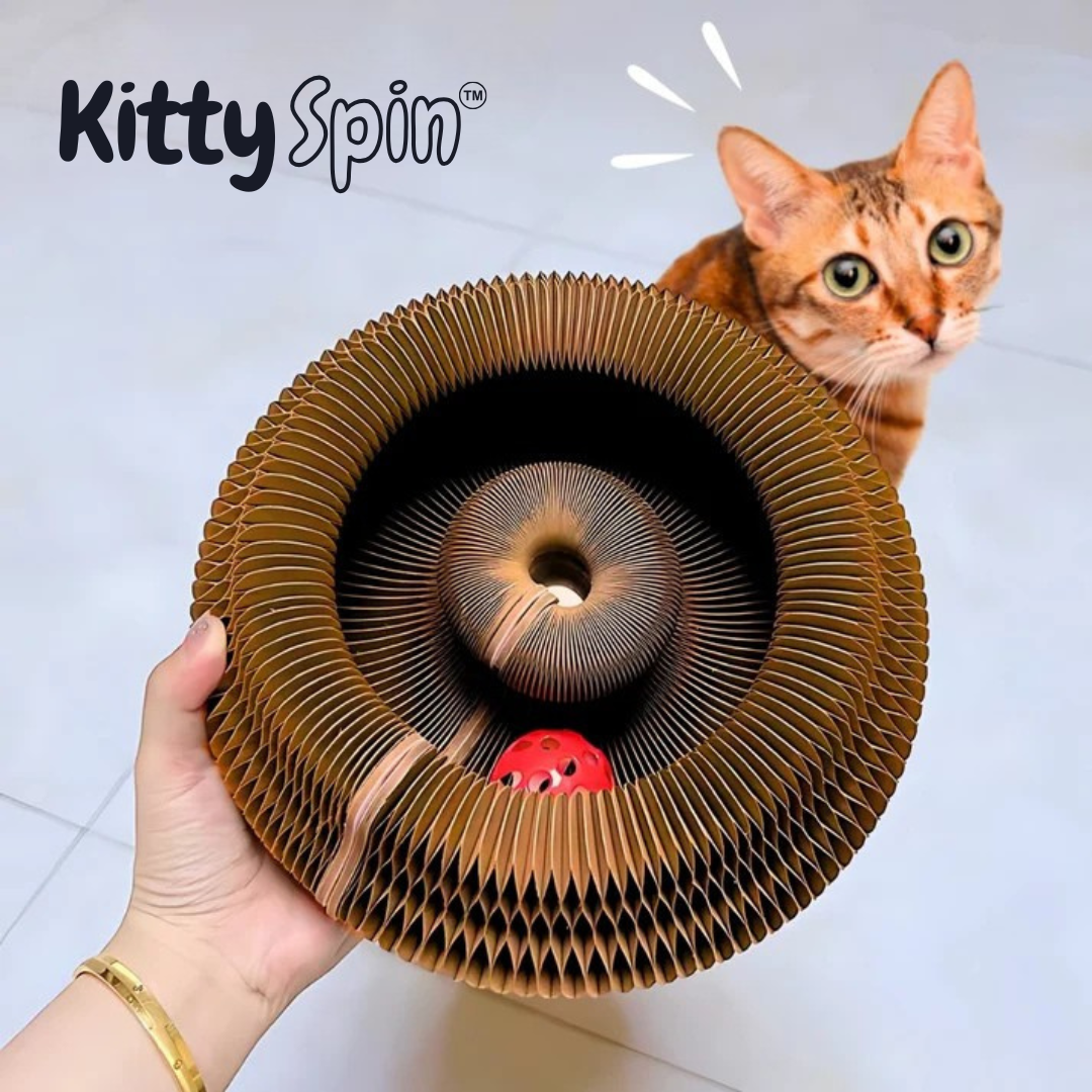 KittySpin™ | Interaktiver Kratzbaum für Katzen