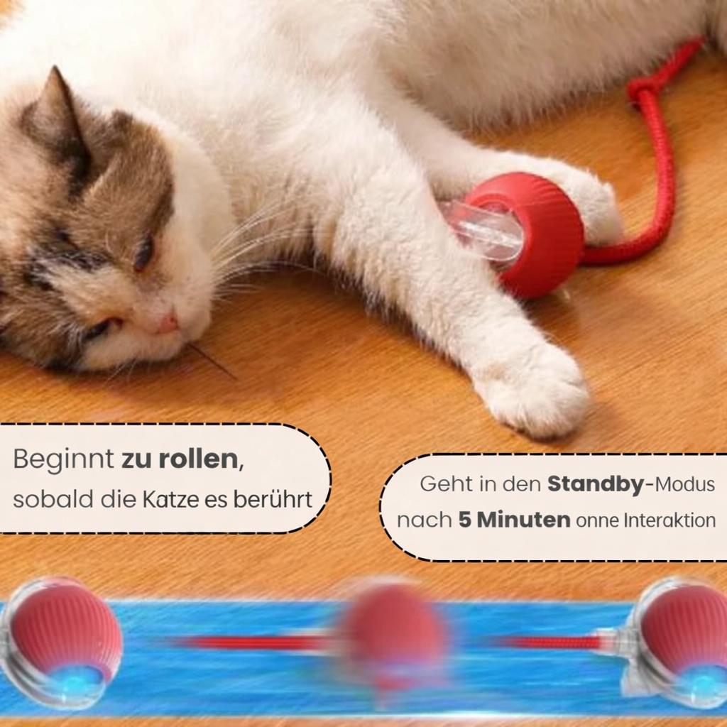 SmartBall™ – Interaktives Katzenspielzeug